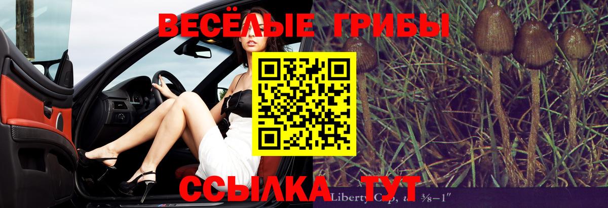 Галлюциногенные грибы Psilocybe Туапсе